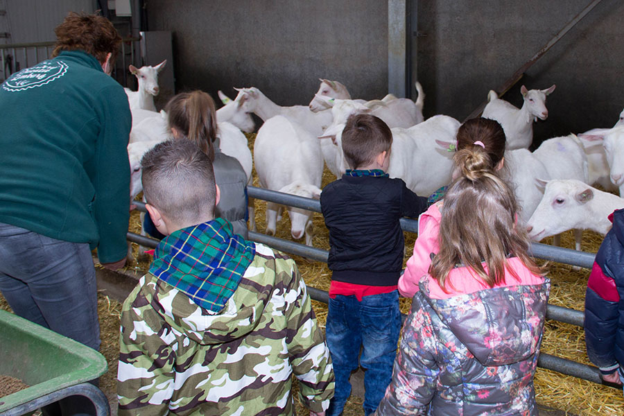 Stijndergeit - Educatie - Samenwerken