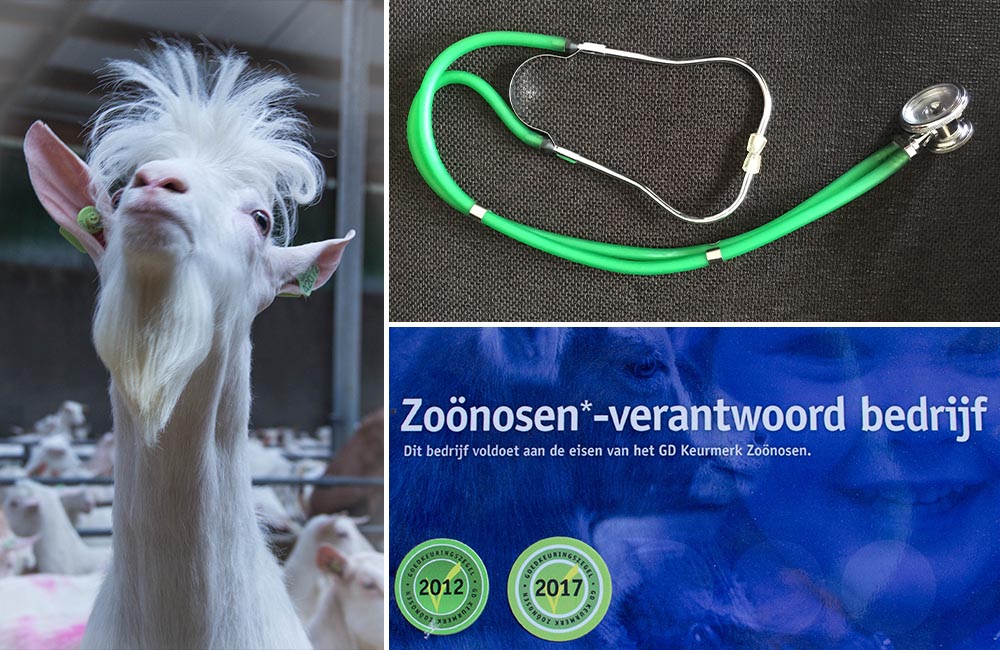 Stijndergeit – Voortgezet – Dier en Mens